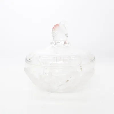 Terrin (Transparent)