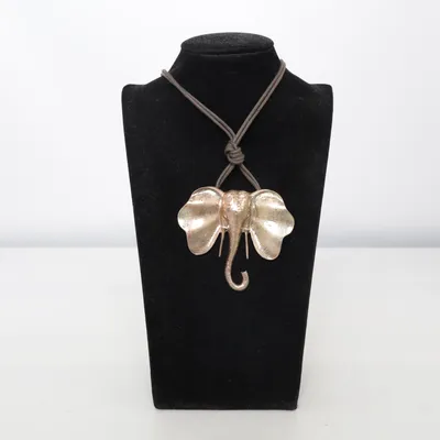 Halsband (Silverfärgad, Brun) Okänd metall