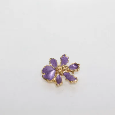 Broche (Guld) Ukendt metal
