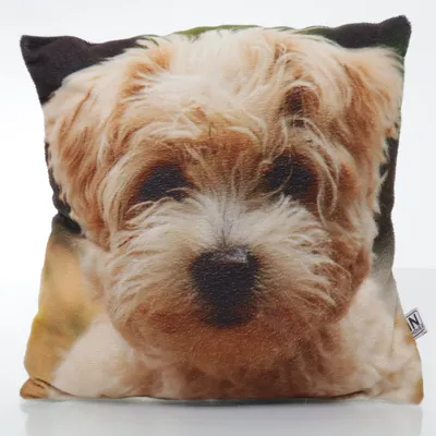 Prydnadskudde (Vit, Flerfärgad) från In Home