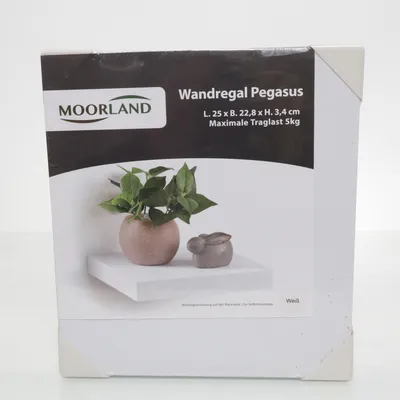 Planken (Wit) van Moreland