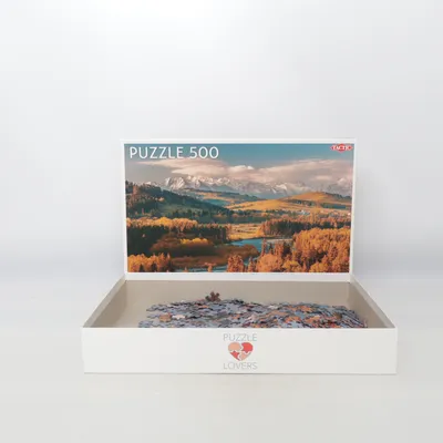 Puzzle from Tactic