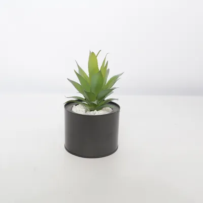 Artificial plant (Green, Black, White)