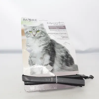 Leash (Gray) from More