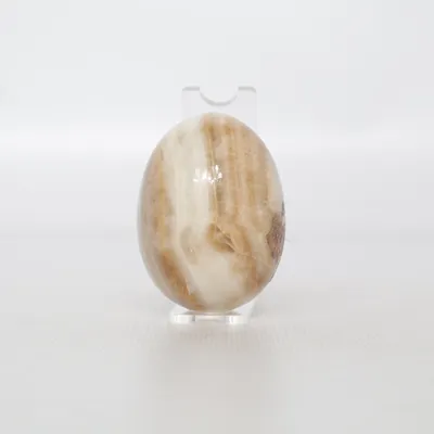 Woondecoratie (Beige, Bruin, Meerkleurig)