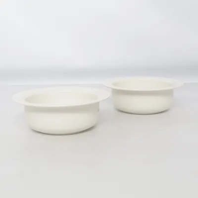 Bowl (Arctica) from Arabia