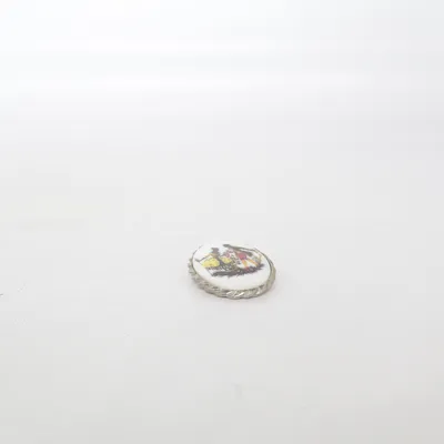 Broche (Flerfarvet) Ukendt metal