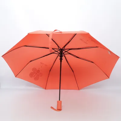 Umbrella (Orange) from Ale-Hop Polyester