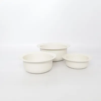 Bowl (Arctica) from Arabia