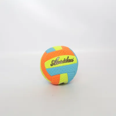 Volleyball (Multicolored) from Asida