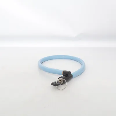 Bicycle lock (Blue) from Abus