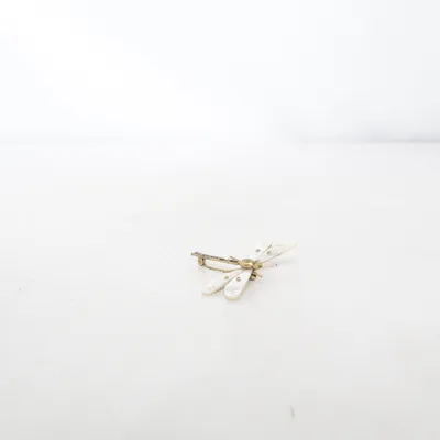 Brosch (Libelle mit Perlmutt-Inlays) Okänd metall, Snäckor