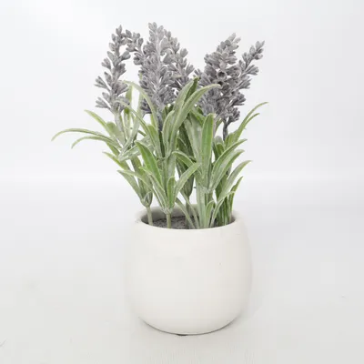 Artificial plant (Gray, Green)