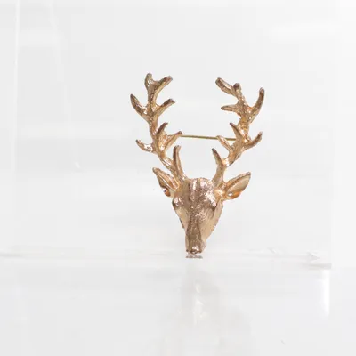 Brooch (Gold) Unknown metal