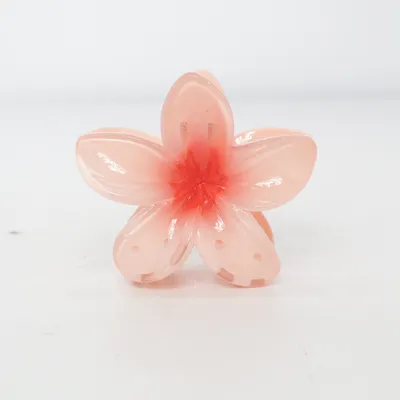 Pince à cheveux (Rose)