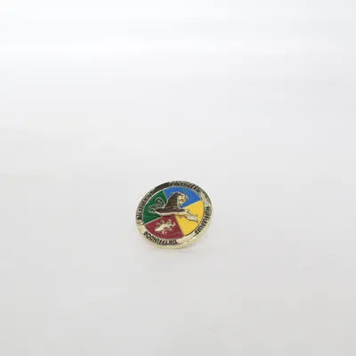 Pin (Flerfärgad) från Harry Potter Okänd metall