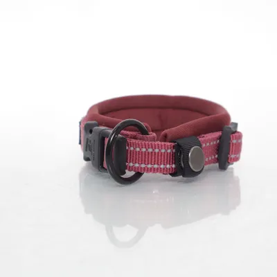 Hundhalsband (Röd) från Feel Active