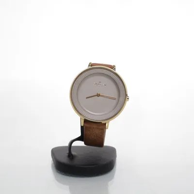 Wristwatch (Brown) from Skagen Denmark