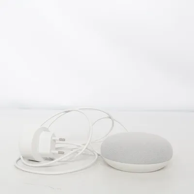 Voice assistant (H1C) from Google