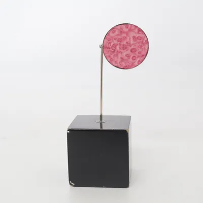 Brooch (Pink, Silver) Unknown metal