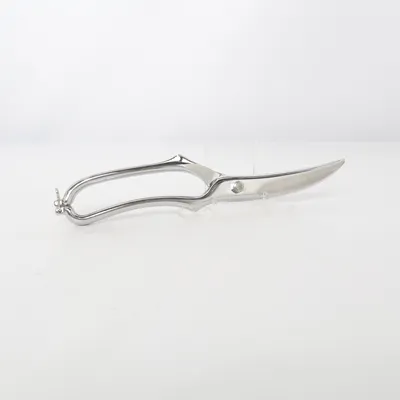 Secateurs (Silver) from Fackelmann