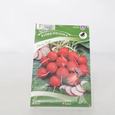 Anbausamen (Cherry Belle) von Lord Nelson