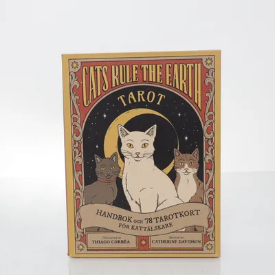 Tarot kort (Brun, Flerfärgad) från Tukan Förlag