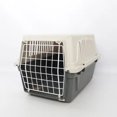 Cage de transport (Beige)