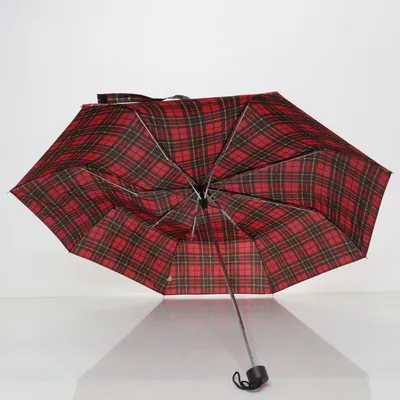 Paraply (Röd, Flerfärgad)