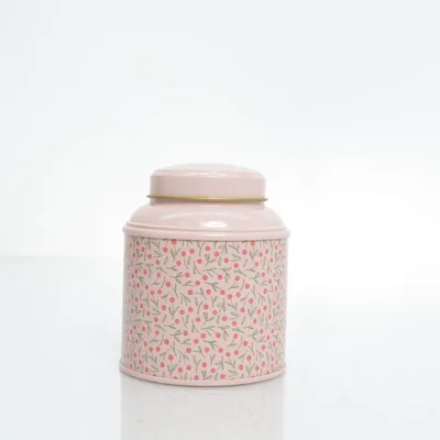 Blik (Roze) van Søstrene Grene