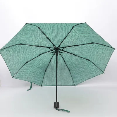 Umbrella (Green, Black)