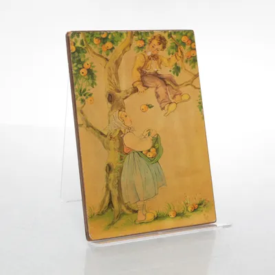 Väggdekoration (Flerfärgad)