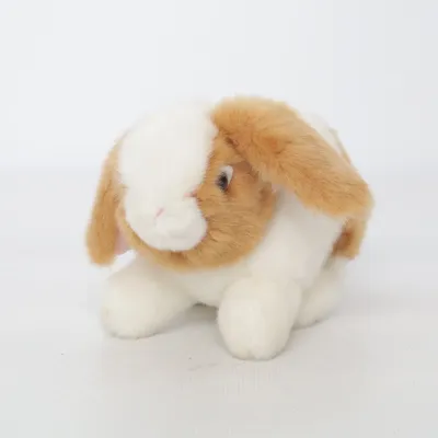 Peluche (Marron, Blanc) de Nature Planet