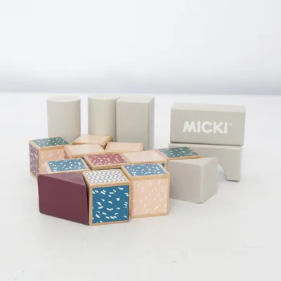 Bouwblokken van Micki