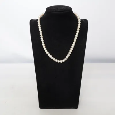 Halsband (Vit) från Lori Okänd metall