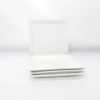 Plate (White) from Xantia