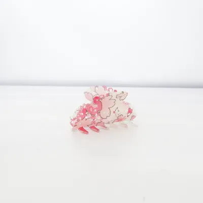 Haarklem (Roze, Wit)
