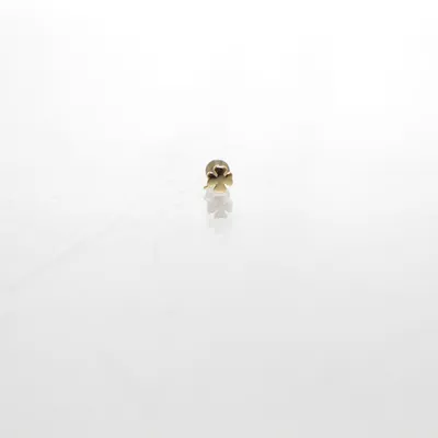 Piercing sieraden (Zilver, Goud) van Fossil Onbekend materiaal