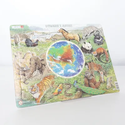 Puzzle de Larsen