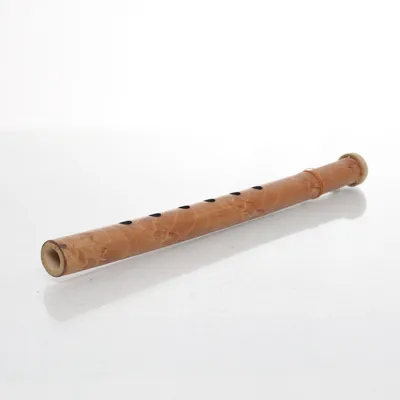 Instrument (Brun)