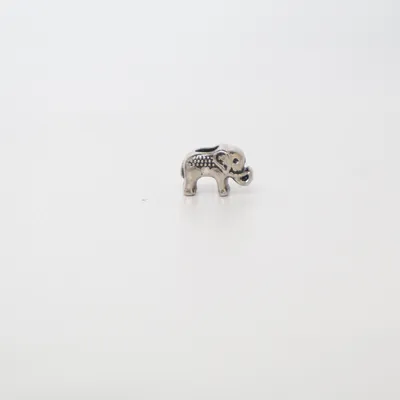 Charm (Silver) Unknown metal