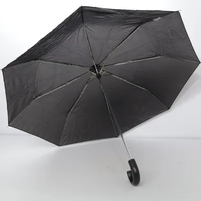 Umbrella (Black) from Totes