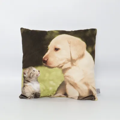Coussin décoratif (Multicolore) de In Home