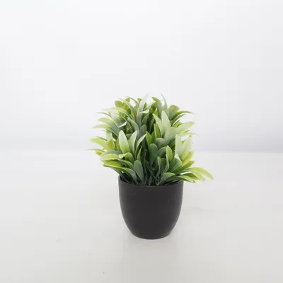 Kunstig plante (Sort, Grøn)