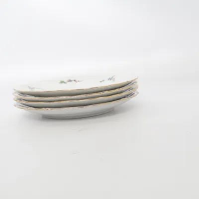 Plate (White, Multicolored) from Walbrzych
