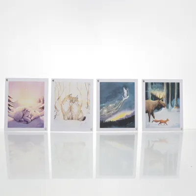 Postcard (Multicolored) from WWF