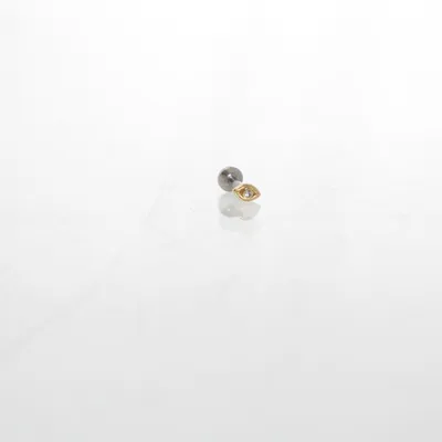 Piercing sieraden (Zilver, Goud) van Fossil Onbekend materiaal