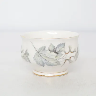 Suikerpot (Silver Maple) van Royal Albert