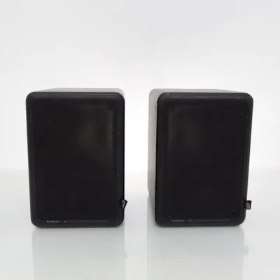 Speaker (Black) from Audio Pro