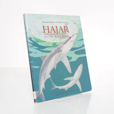 Informatief boek